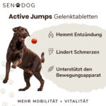 3266Active Jumps – Geschenk