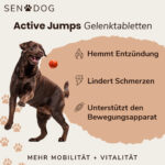 4209Active Jumps