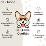 3531Active Jumps – Geschenk